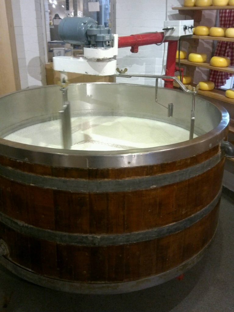 オランダのチーズの製造過程