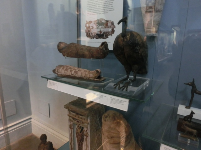 大英博物館(British Museum)の鳥のミイラ