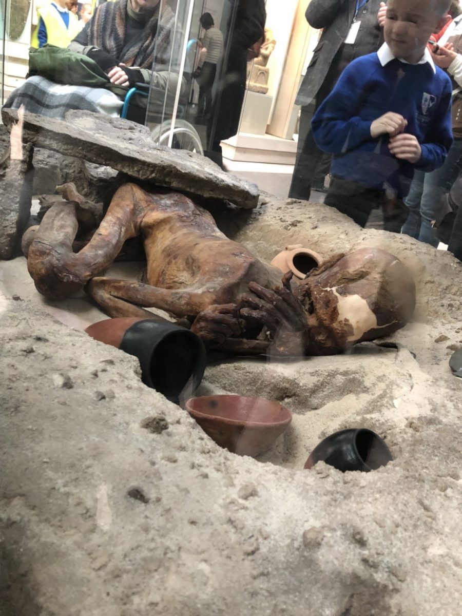 自然にミイラ化した遺体（ジンジャー）