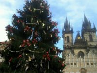 プラハの旧市街広場のクリスマスマーケットにある、クリスマスツリー