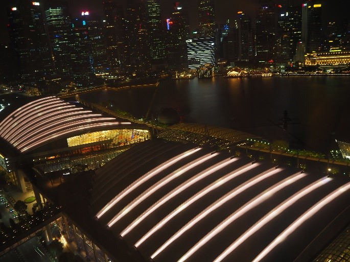 シンガポールのマリーナベイサンズの部屋からの夜景