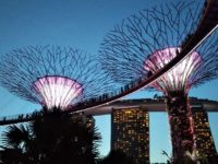 シンガポールのガーデンズバイザベイのスーパーツリー・グローブ