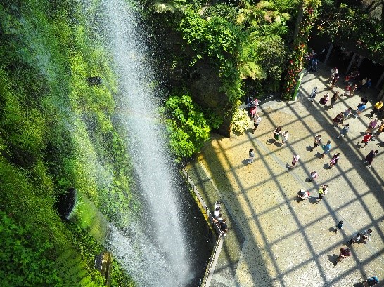 シンガポールのガーデンズバイザベイのクラウドフォレストの滝