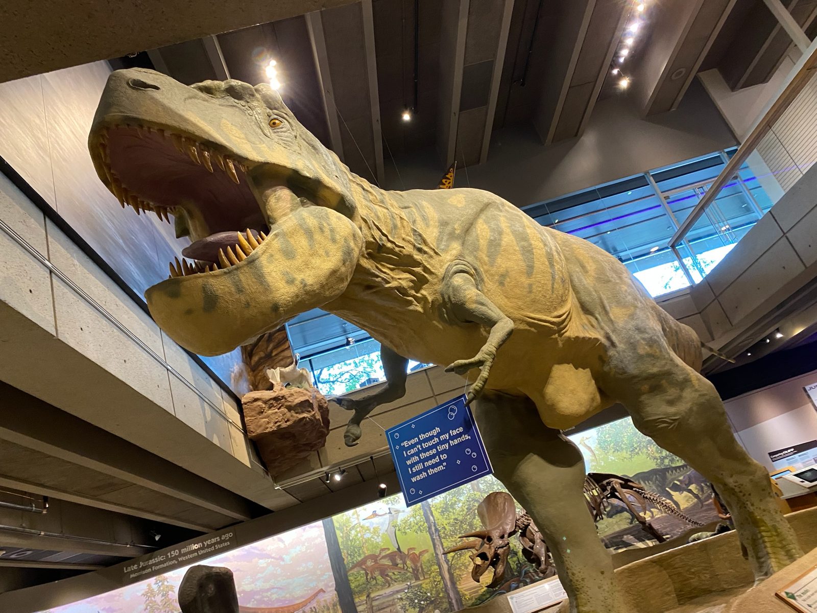 実物大のティラノサウルスの模型